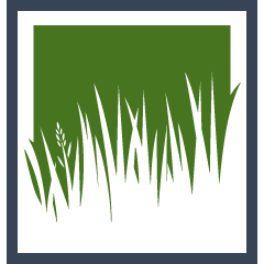 Centipede Grass Installation Pros