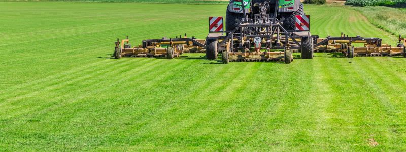 Centipede Grass Installation
