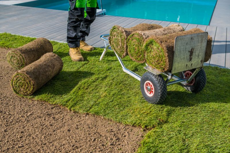 Centipede Grass Installation