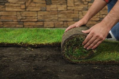 Bluegrass Sod Installation in Honolulu, HI