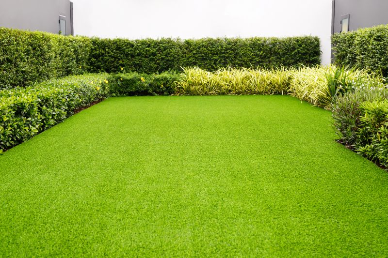 Healthy Lawn Environment