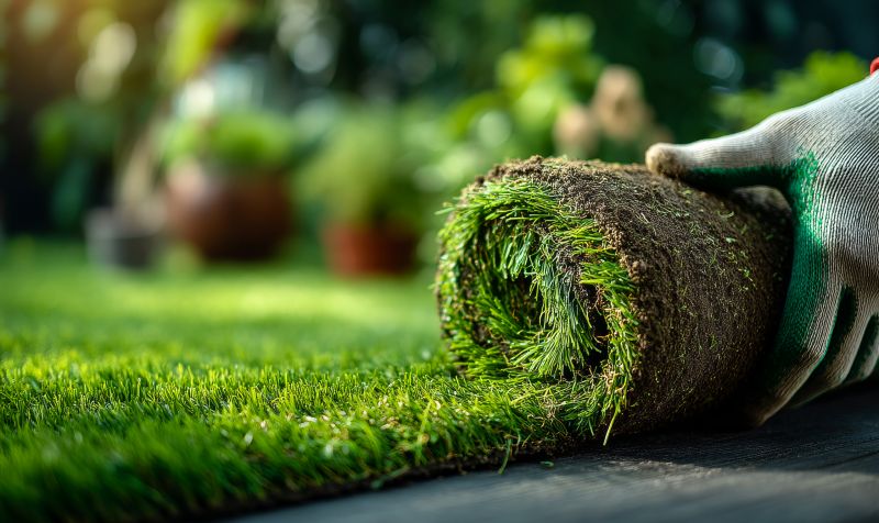 Commercial Sod Installation in Rockwall, TX