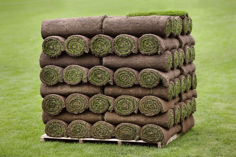 Commercial Sod Installation in Ventura County, CA