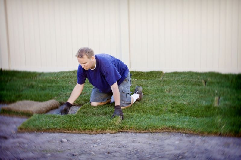 Fescue Sod Installation in Aiken, SC