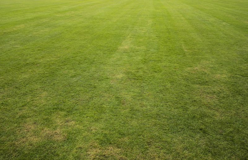 Sod Landscaping in Aiken, SC
