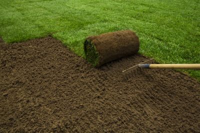 Why Sod Installation Is The Fastest Way To A Green Lawn