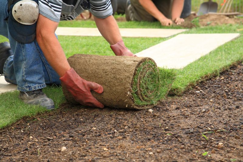 Zoysia Grass Installation in Ventura County, CA