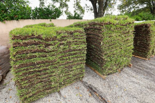 Grass Delivery Service